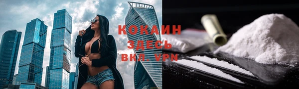 прущие грибы Мегион