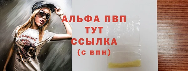 прущие грибы Мегион