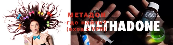 прущие грибы Мегион