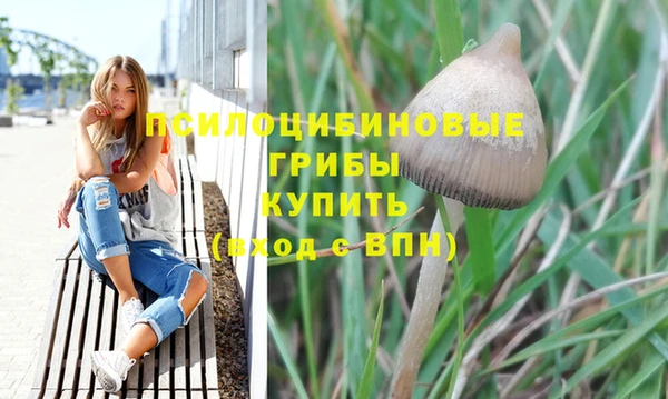 прущие грибы Мегион