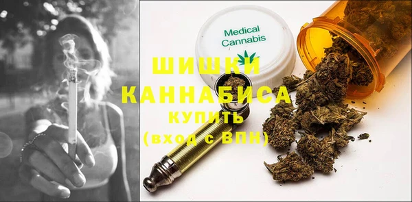 прущие грибы Мегион